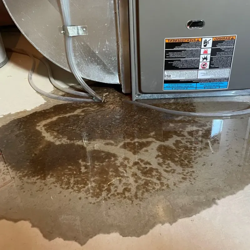 Pipe Burst and Leak Restoration in South Duxbury, MA